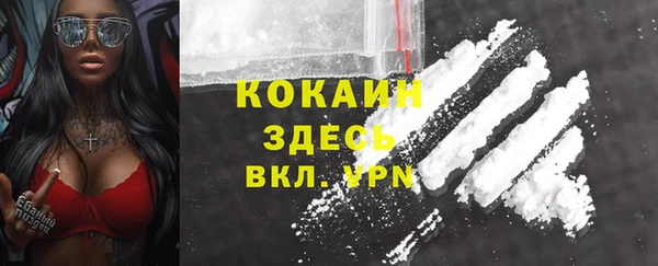 крисы Алзамай