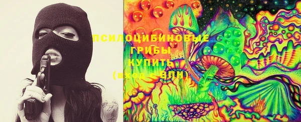 крисы Алзамай