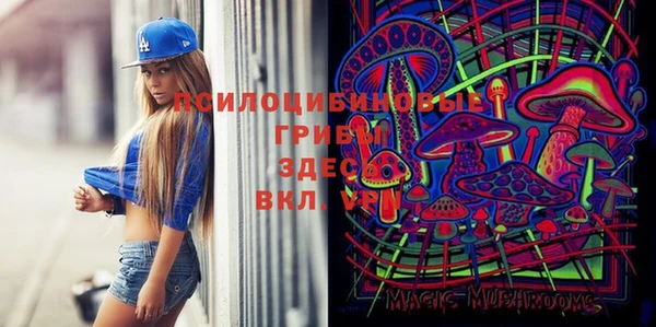 крисы Алзамай