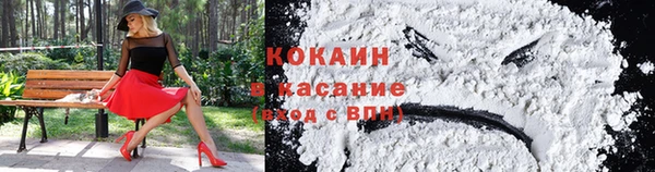 прущие грибы Армянск