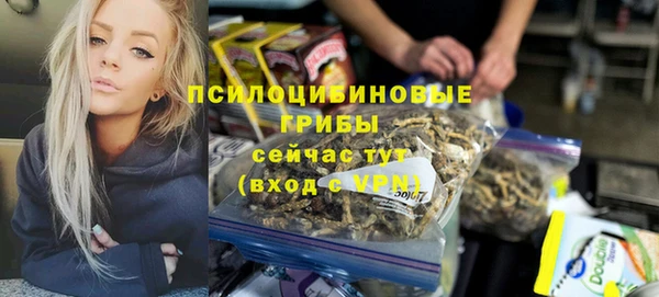 прущие грибы Армянск