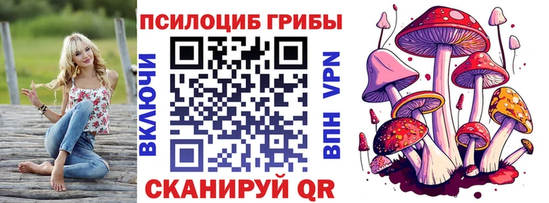 Купить закладки  Урень  Галлюциногенные грибы MAGIC MUSHROOMS 